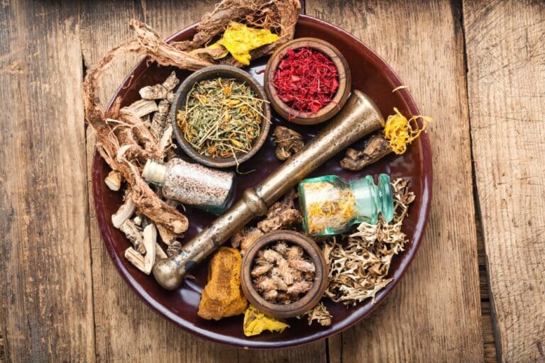 Selection healing herbs used in traditional Chinese medicine