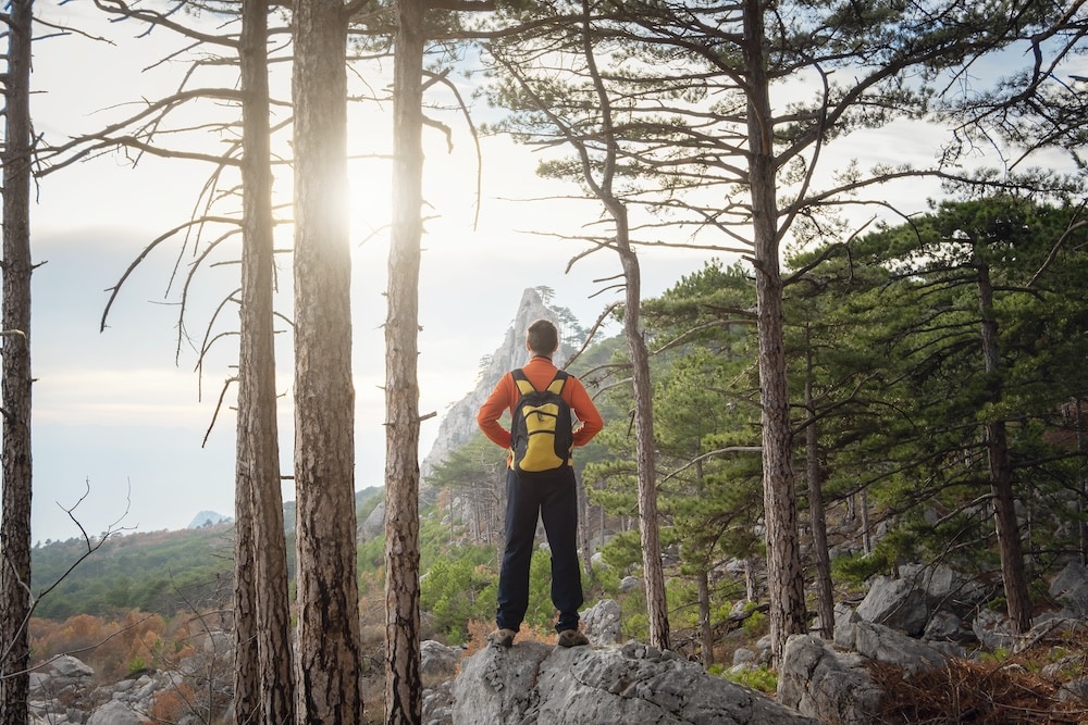 Man stands at top of mountain in pine forest.