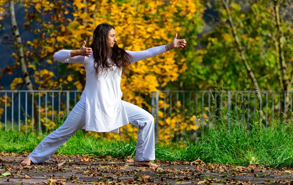 Tai Chi practiced in the park.