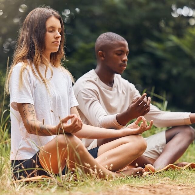 Two individuals meditating in the forest