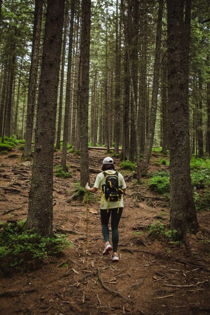 Young woman hiking through the forest with hiking stick and backpack