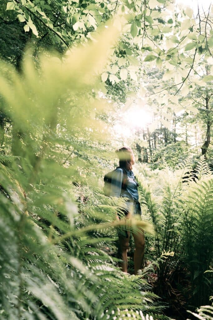 Woman looking at the sunset, surrounded by green plants and nature.