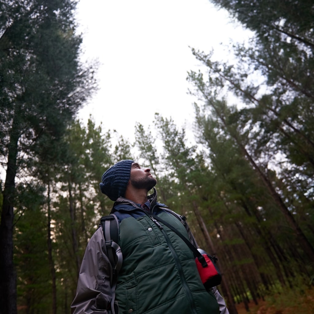 Young man standing out in the woods amongst tall trees, looking up at the sky.