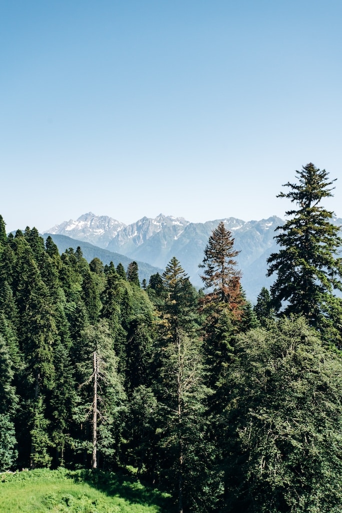 View of San Jacinto Mountains in California near Los Angeles County with green forest landscape