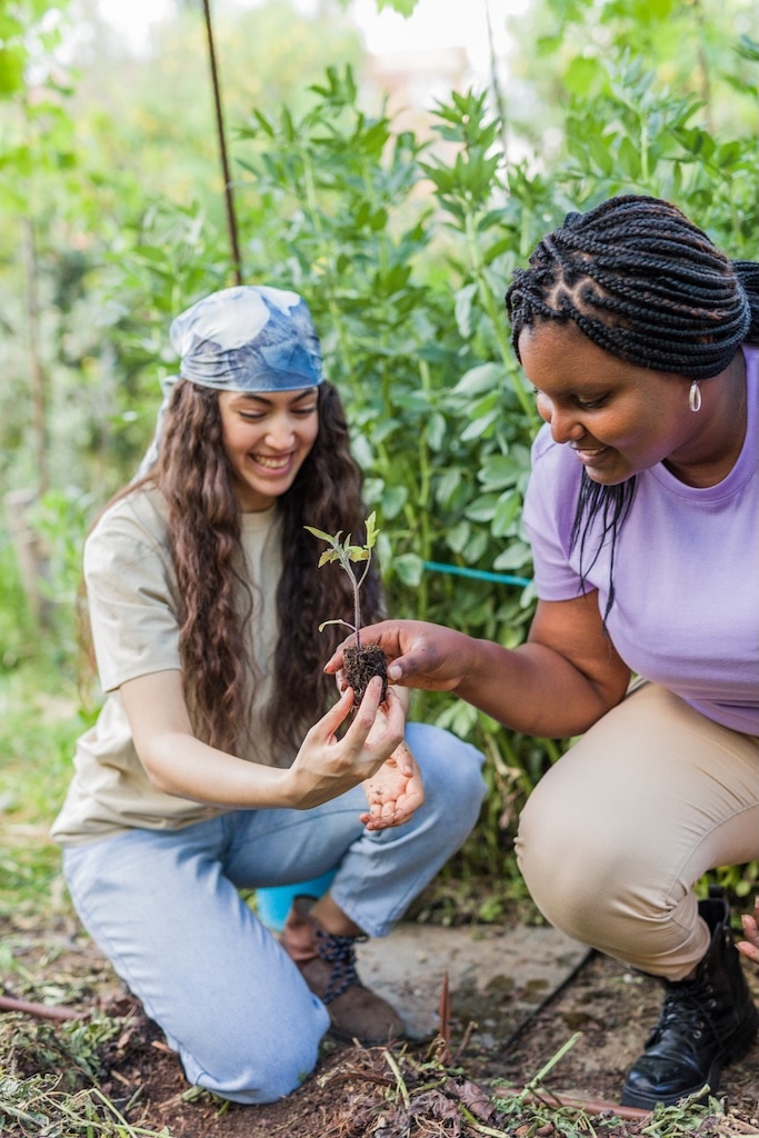 Young group together working outdoors in nature, gardening in greenhouse.