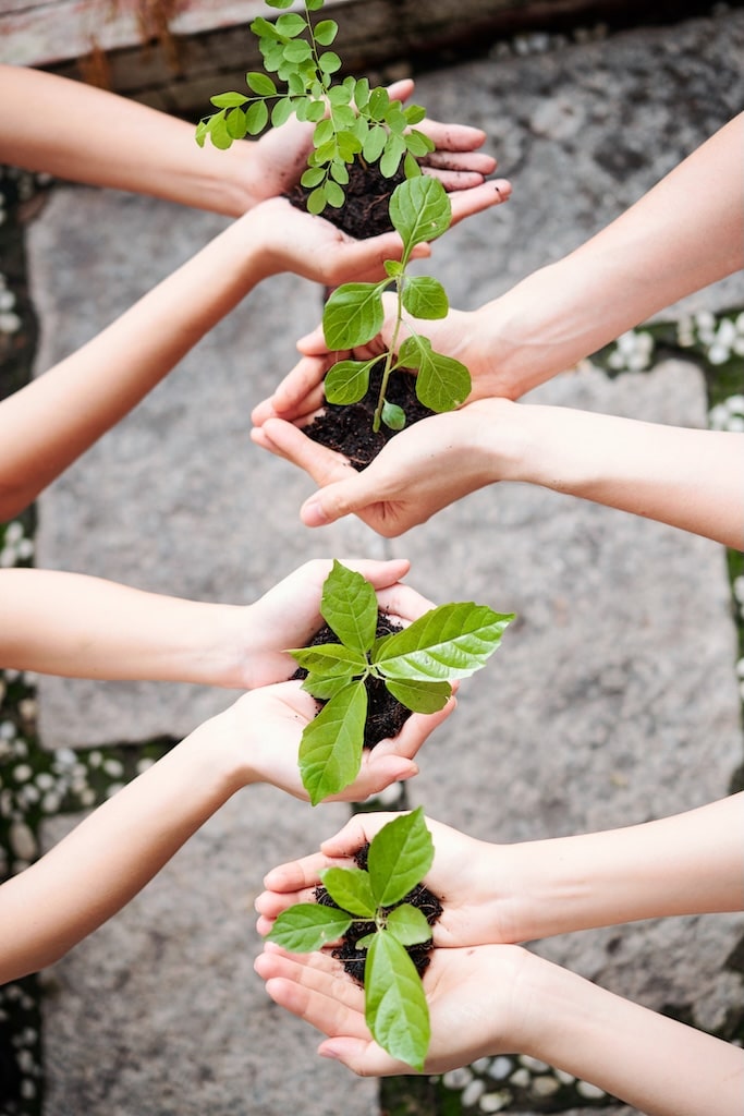 Close up of four people holding young plants and soil in their hands.