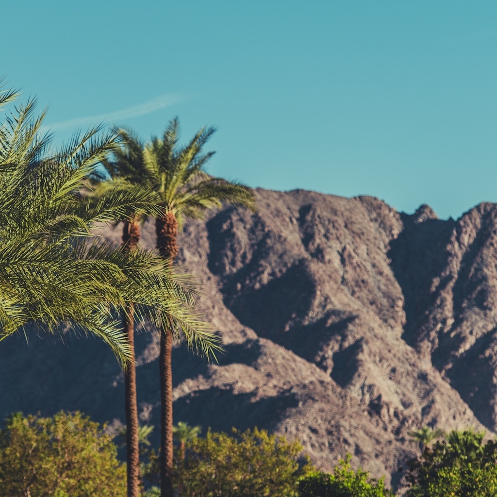 California palm springs desert landscape.